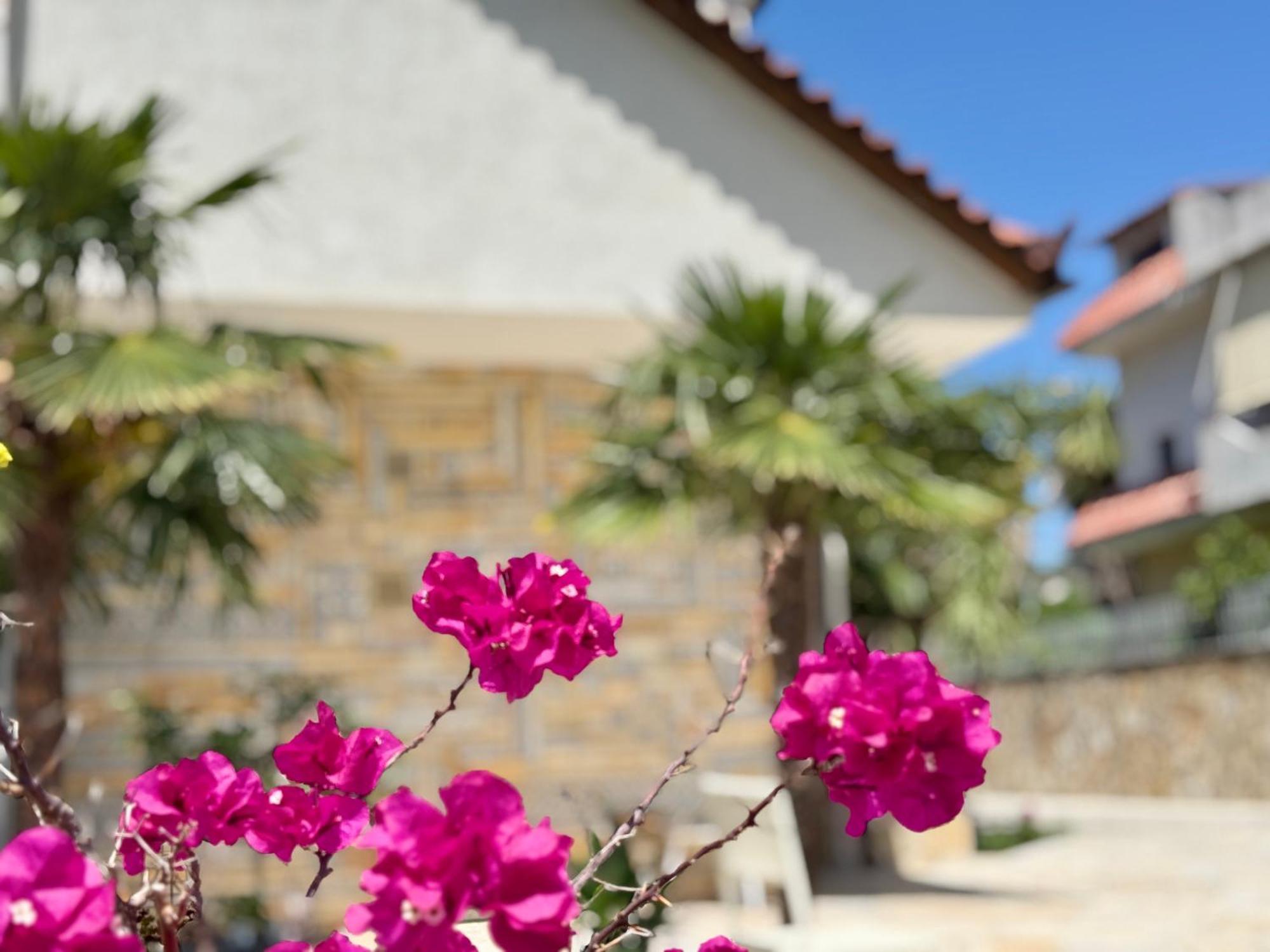 Villa Ida Apartments Vlorë Exteriér fotografie