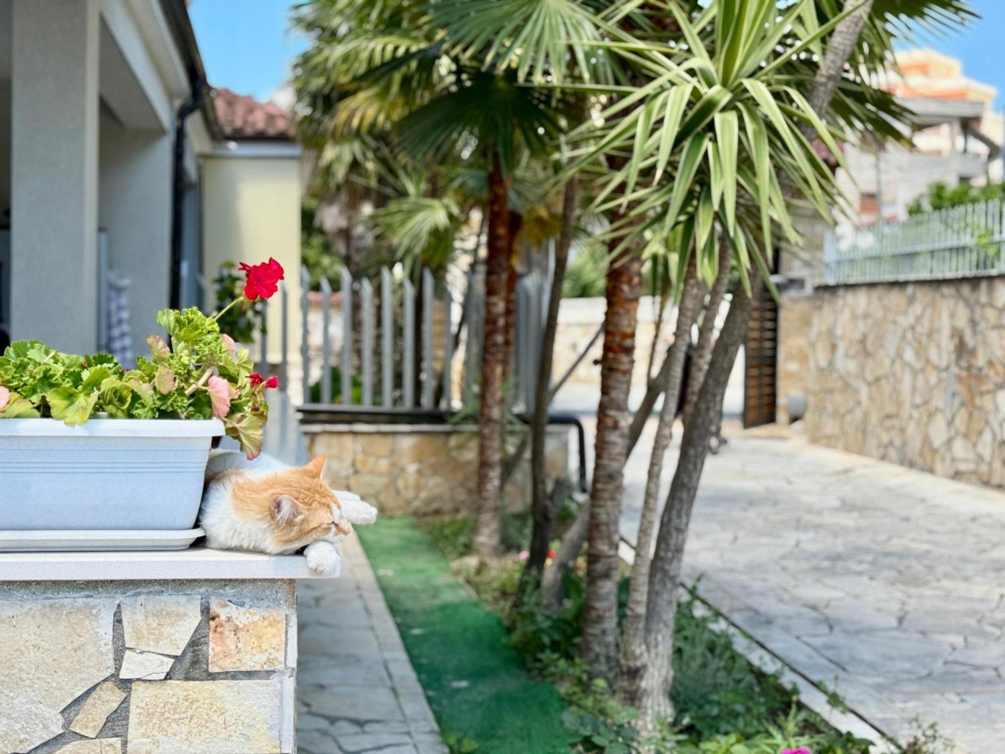 Villa Ida Apartments Vlorë Exteriér fotografie