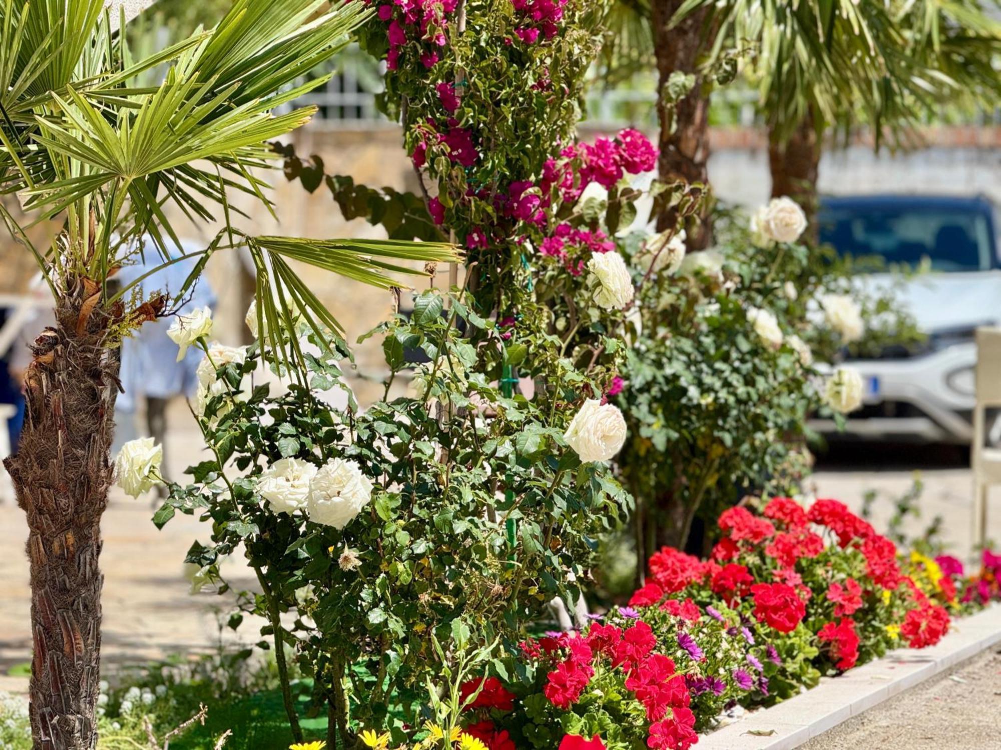 Villa Ida Apartments Vlorë Exteriér fotografie